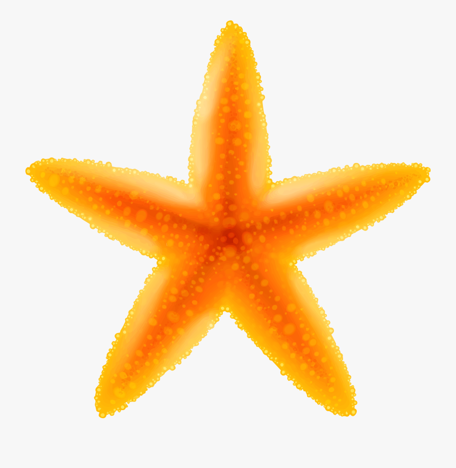 Online Starfish Clipart Transparent, Starfish Collection - Starfish Transparent Background, Transparent Clipart