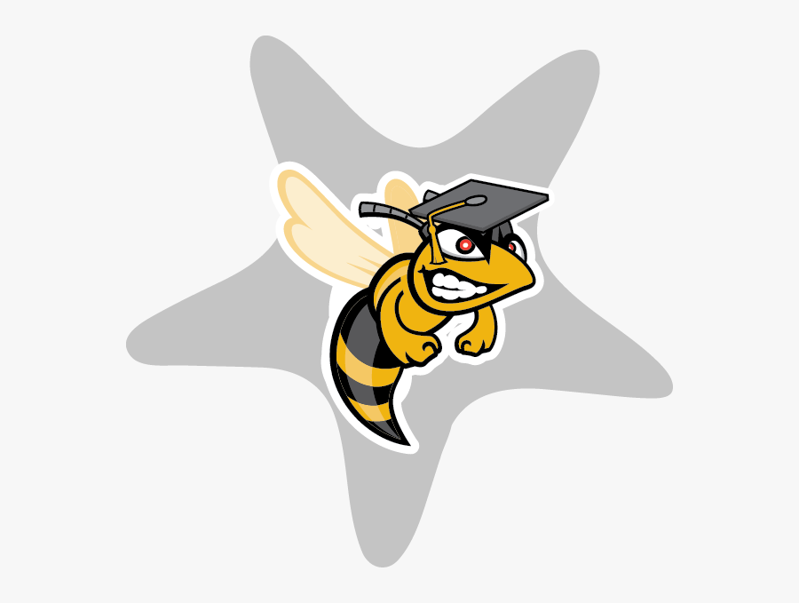 Student Starfish Survey - Cartoon, Transparent Clipart