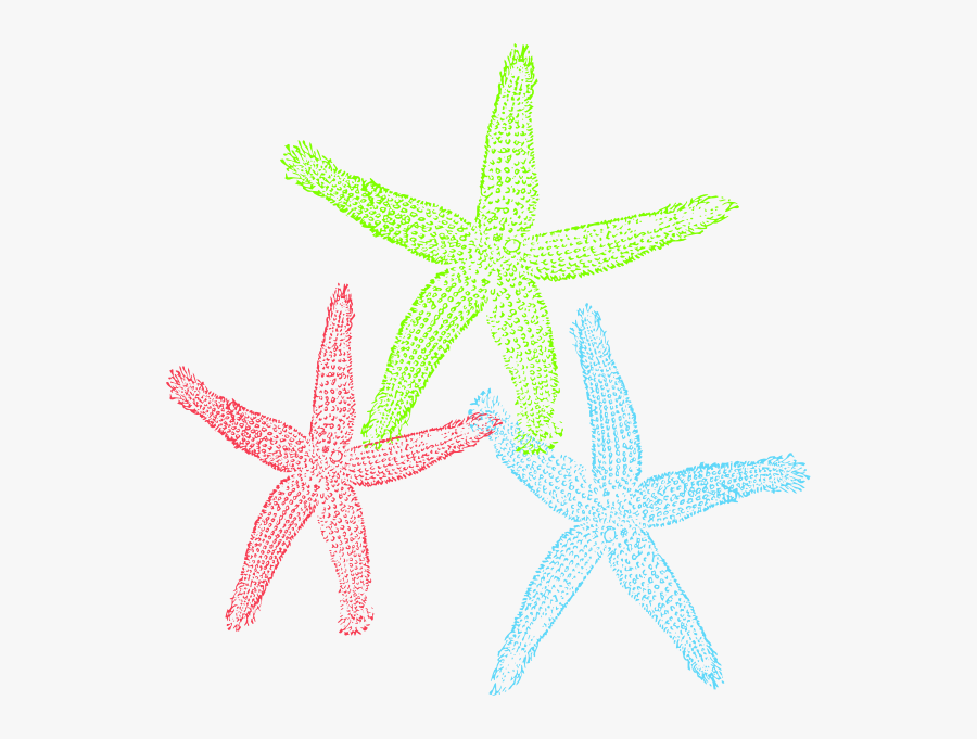 Free Set Of Three Colorful Starfish Clip Art - Starfish, Transparent Clipart