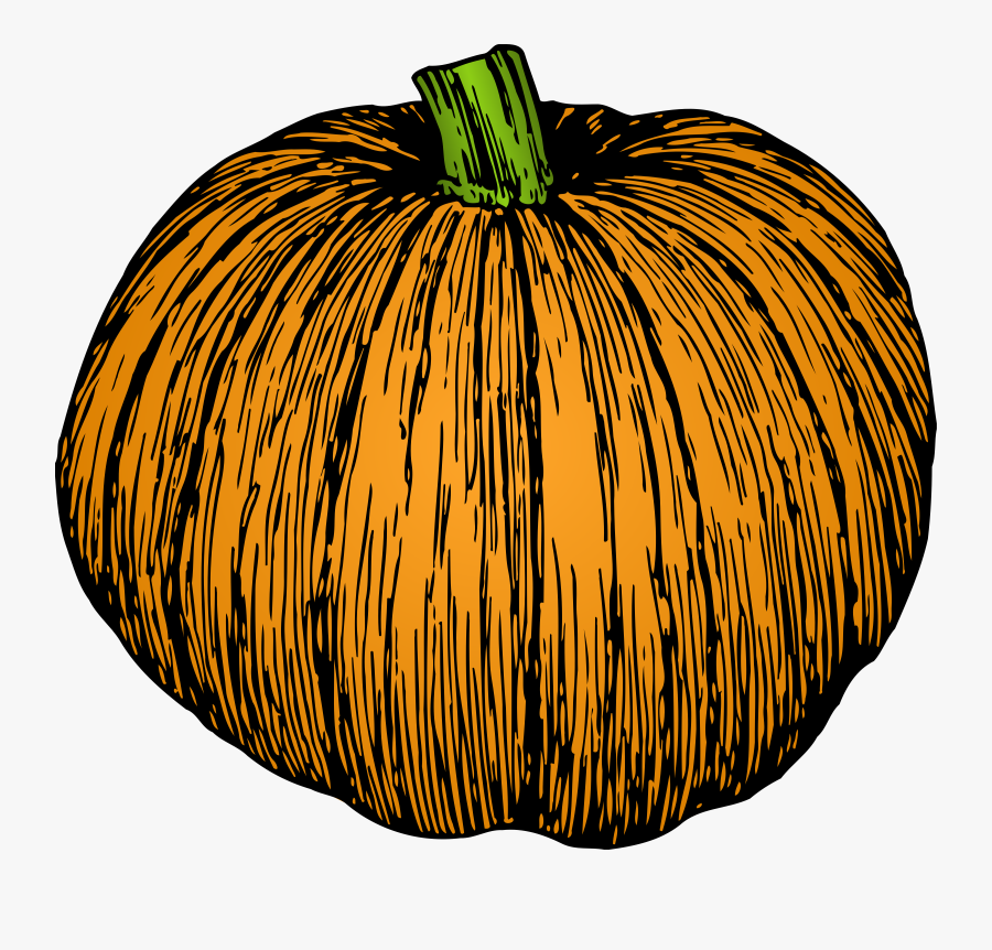 Pumpkin - Black And White Pumpkin Illustration, Transparent Clipart