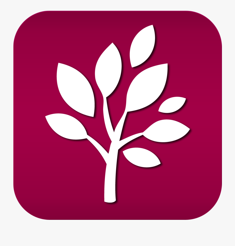 Tree Icon, Transparent Clipart