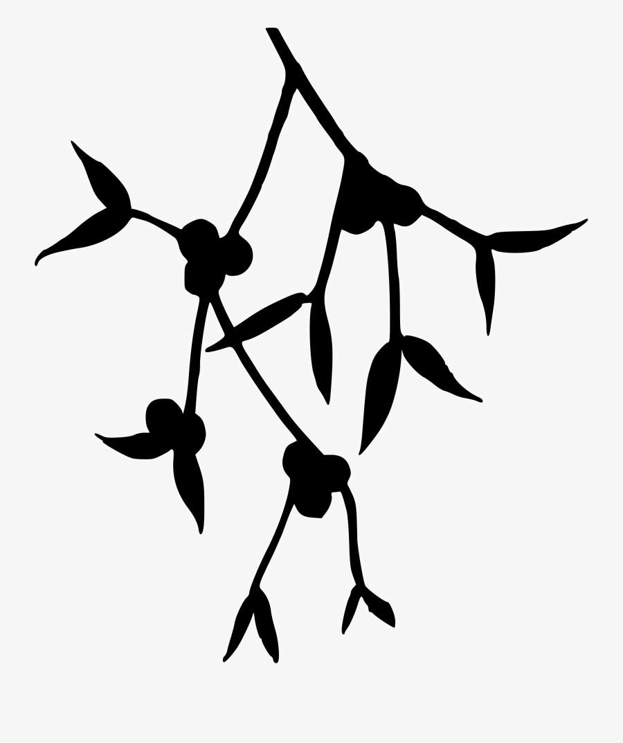 Plant,leaf,symmetry - Mistletoe Silhouette, Transparent Clipart