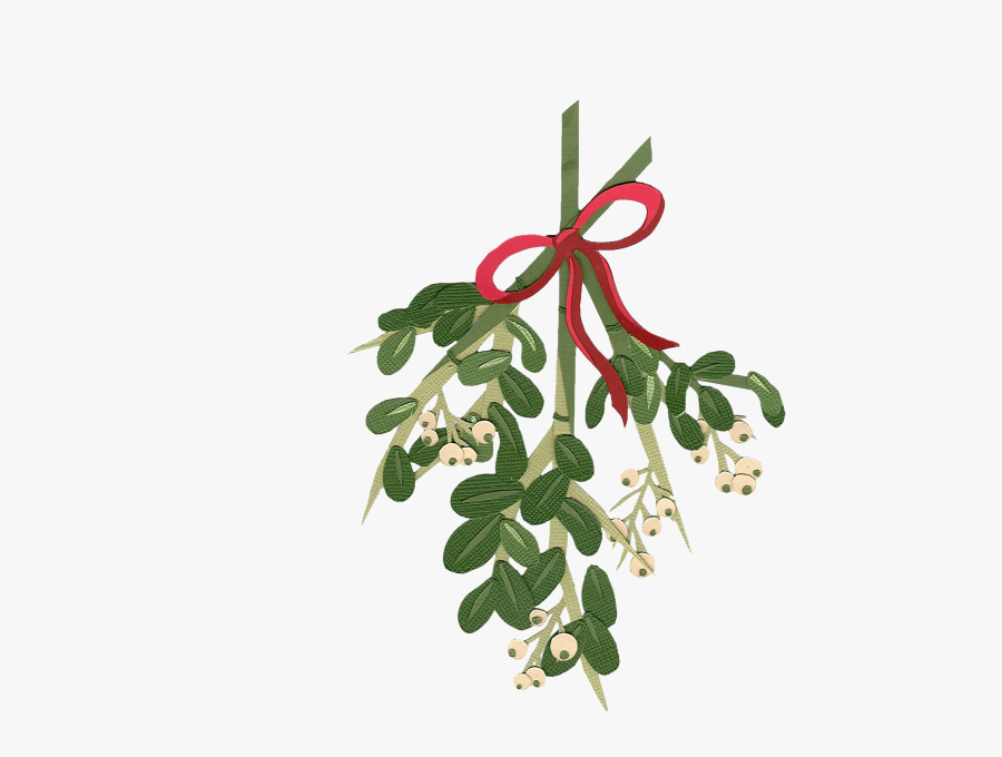 Collection Of Free Mistletoe Transparent Watercolor - Christmas Flower Watercolor Png, Transparent Clipart
