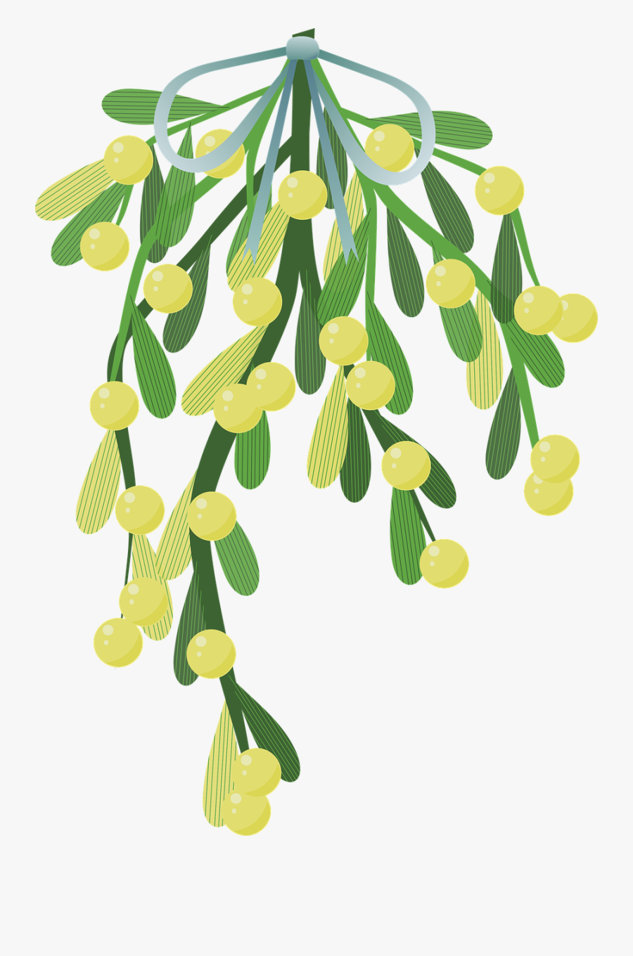 Mistletoe - Harry Potter Mistletoe, Transparent Clipart