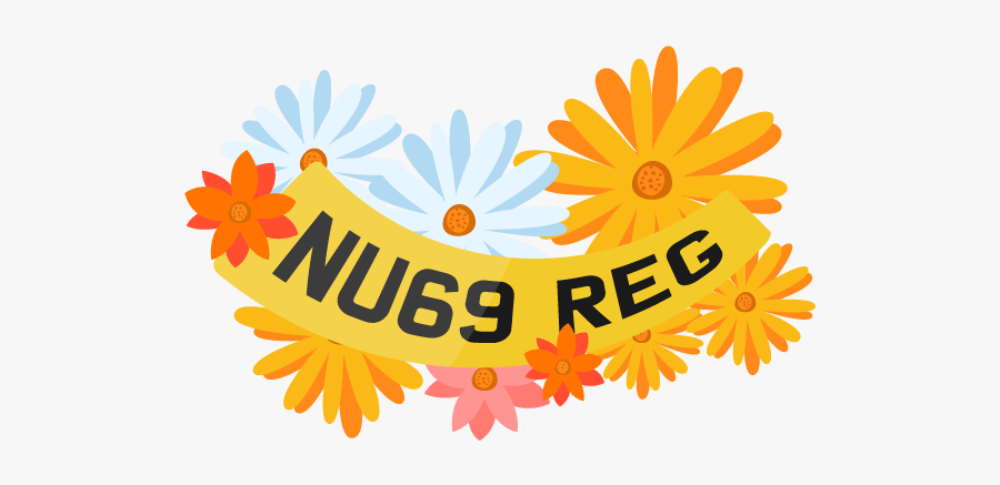 African Daisy, Transparent Clipart