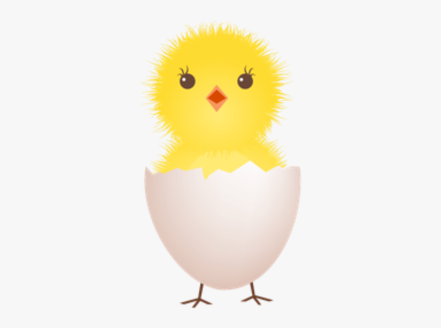 Clip Art Chick And Egg Picture - Chick Egg Clip Art, Transparent Clipart