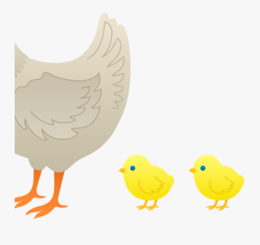 Transparent Chicken Clipart Png - Baby Chick Clipart, Transparent Clipart