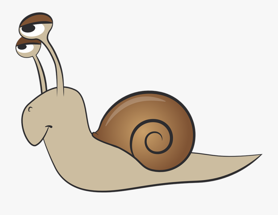Snail Clip Art Free Vector Image 2 Clipartix - Animals That Crawl Clipart, Transparent Clipart