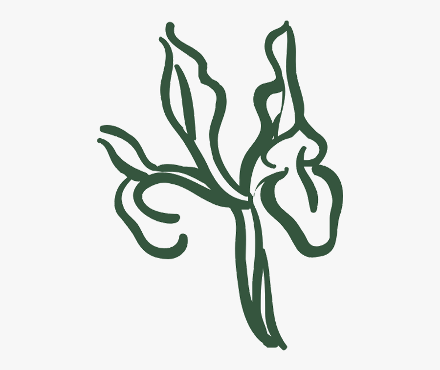 Illustration, Transparent Clipart