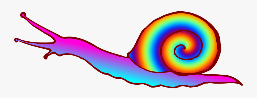 Icons Png Free And - Colorful Snail Shell Cartoon, Transparent Clipart