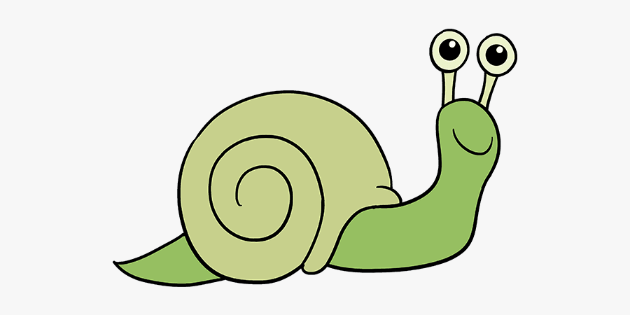 How To Draw A Snail - Lymnaeidae, Transparent Clipart