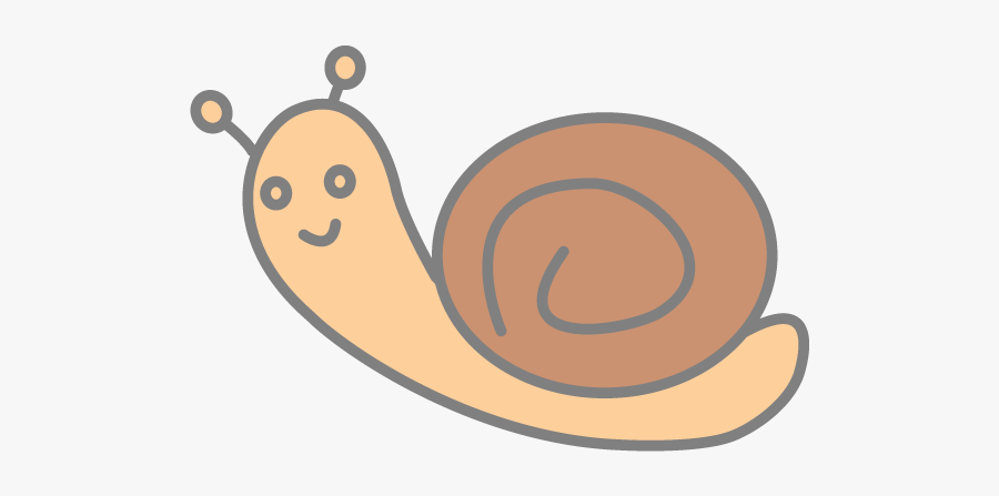 Insect, Transparent Clipart