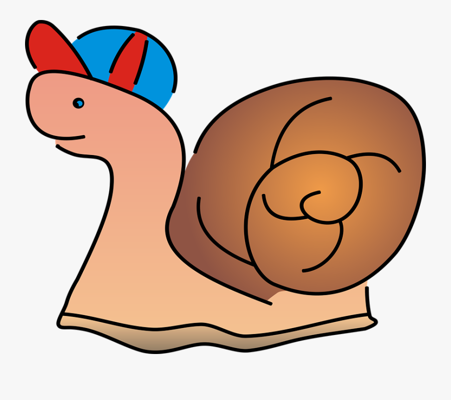 Snail Crawl Seashell - Snail, Transparent Clipart