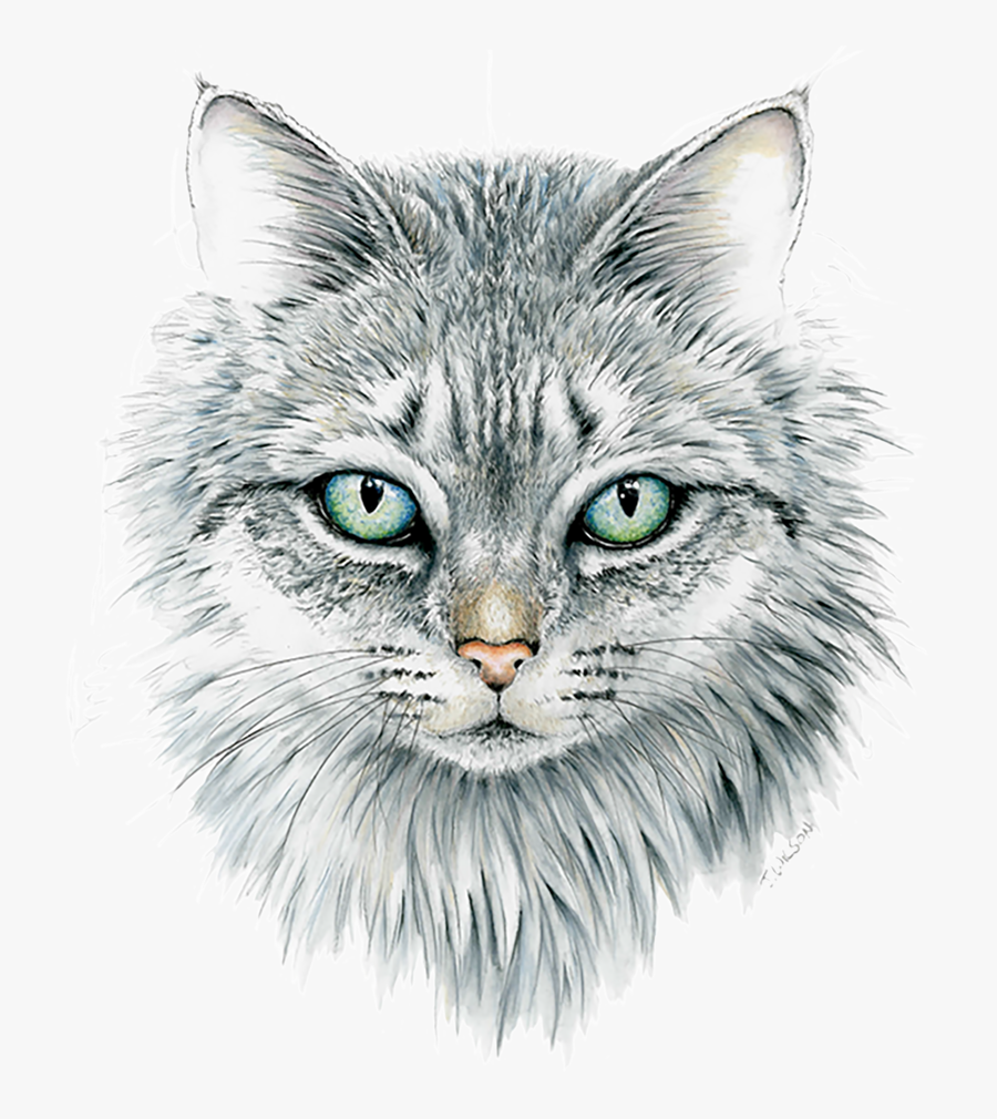 Clip Art Limited Edition Print Wildlife - Drawing, Transparent Clipart