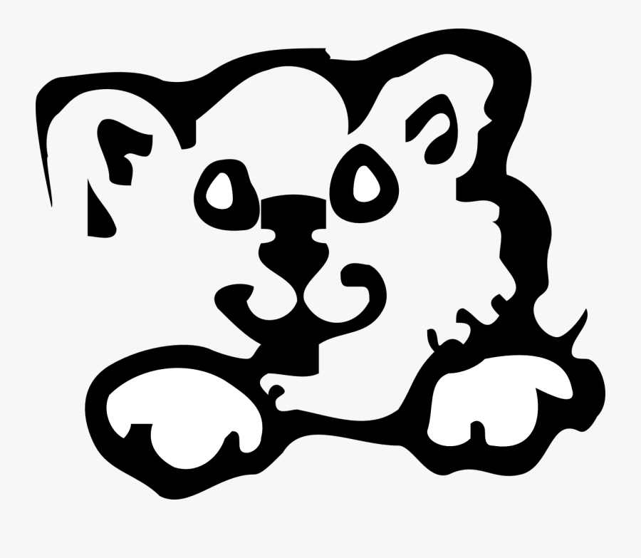Cat, Face, Cute, Animal, Feline, Kitten - Galna Katt Bilder Med Text, Transparent Clipart