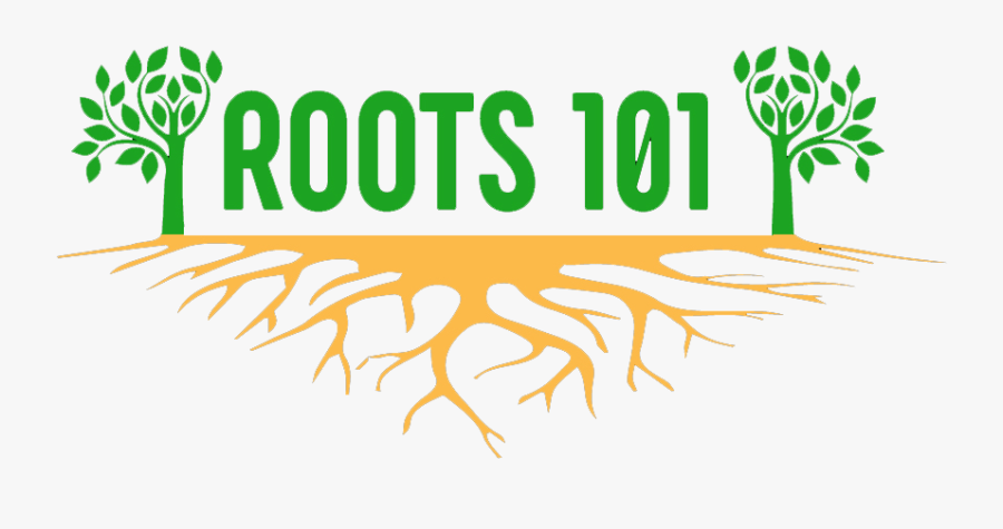 Roots - Tree, Transparent Clipart