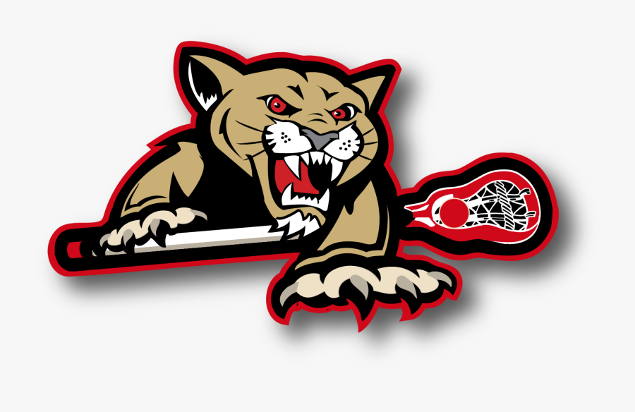 Picture - Catamount Lacrosse Club, Transparent Clipart
