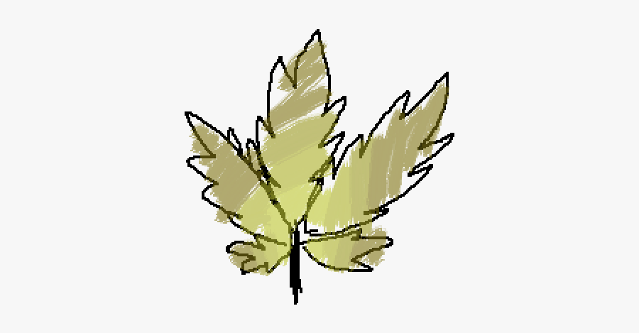 Silver Maple, Transparent Clipart