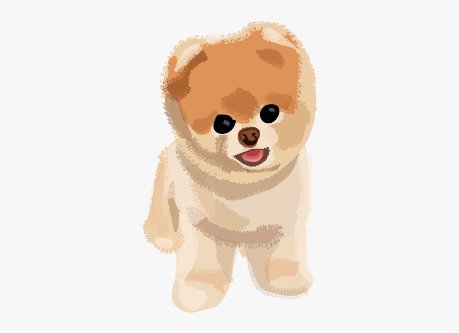 Boo Dog Png Transparent Image - Worlds Cutest Dog Boo Plush, Transparent Clipart