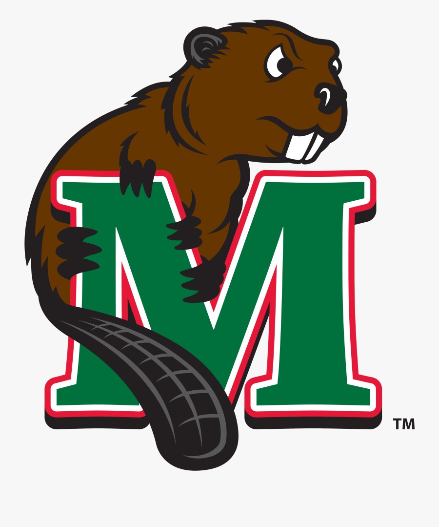 Minot State Baseball Scores, Results, Schedule, Roster - Minot State Beaver Logo, Transparent Clipart