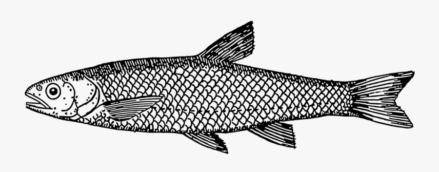 Satchel Tommy Hilfiger Handbags, Transparent Clipart