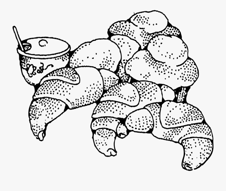 Line Art,area,artwork - Black And White Bee Clipart, Transparent Clipart