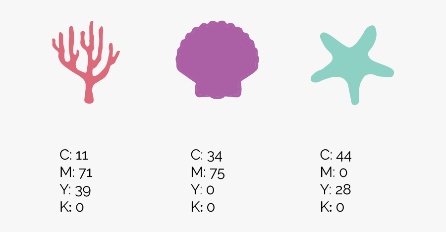 Marine Invertebrates, Transparent Clipart