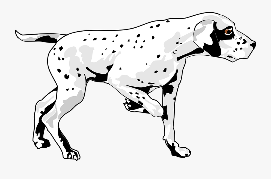 Dog, Pet, Walking, Animal, Mammal, Fur, Spots, Breed - Dog Silhouette Png Dalmatian, Transparent Clipart