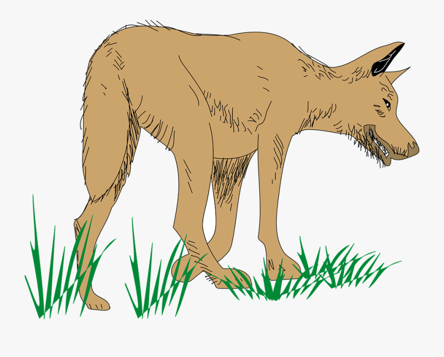 Transparent Wolf Clipart - Animated Walking Dog Png, Transparent Clipart
