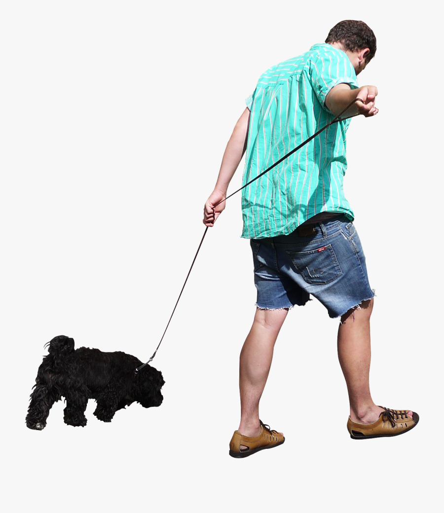 Collections At Sccpre Cat - Man Walking Dog Png, Transparent Clipart