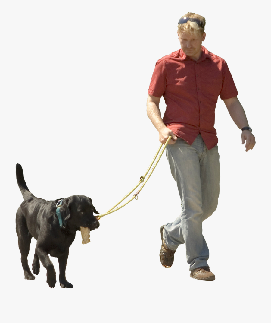 Transparent Person Walking Dog Clipart - Person Walking Dog Png, Transparent Clipart