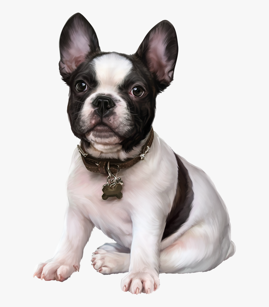 Transparent Bulldog Clip Art - French Bulldog Png, Transparent Clipart