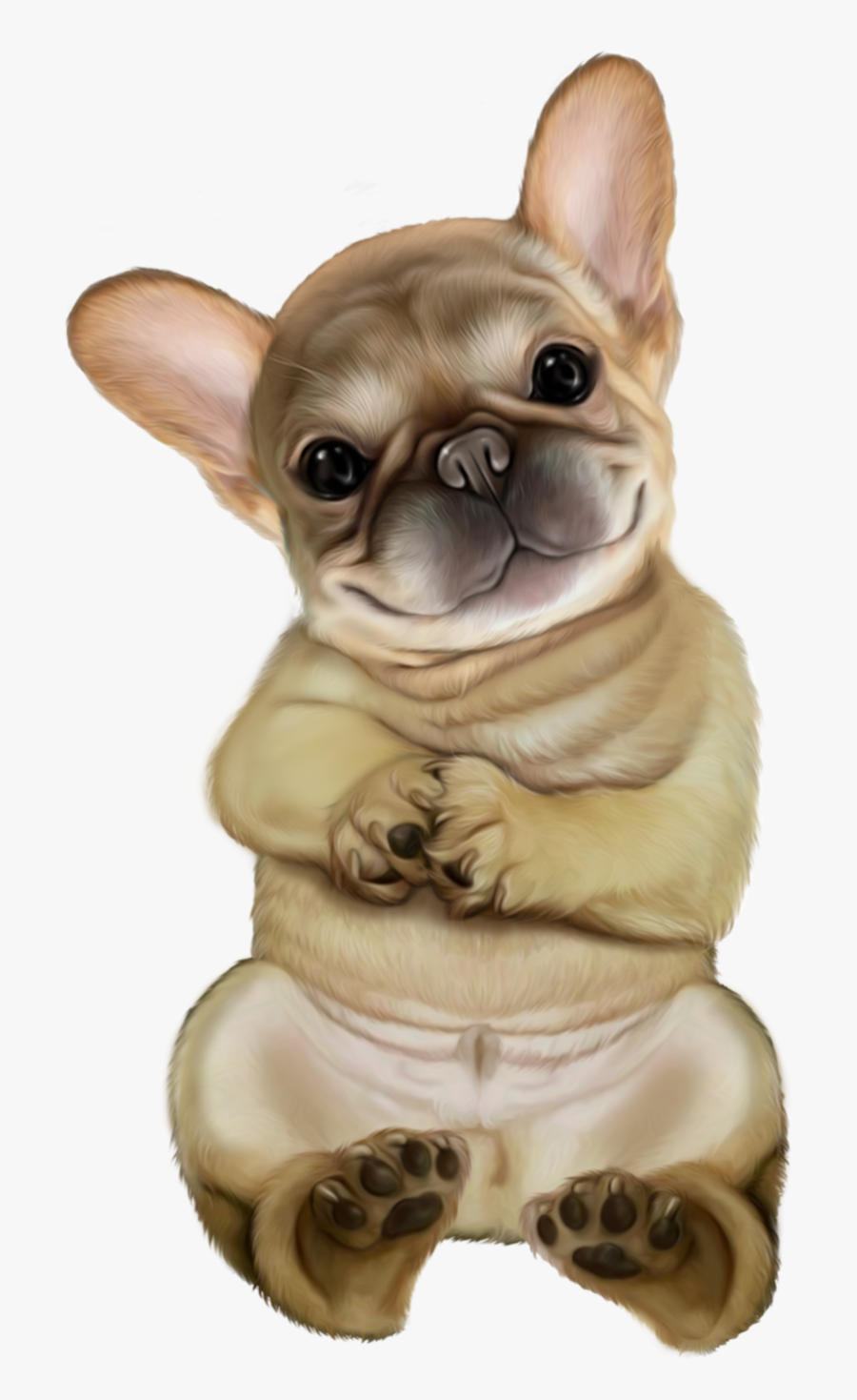 Dog, Transparent Clipart