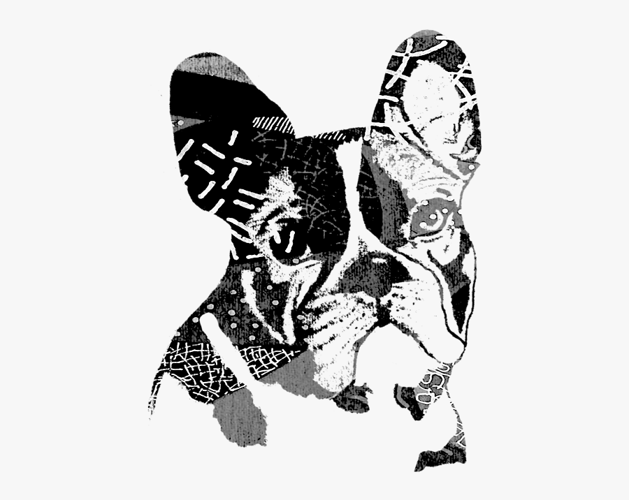 Bulldog, Transparent Clipart