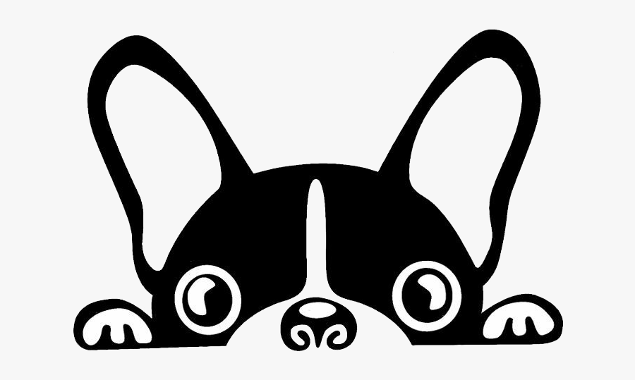 Boston Terrier French Bulldog - Boston Terrier Face Outline, Transparent Clipart