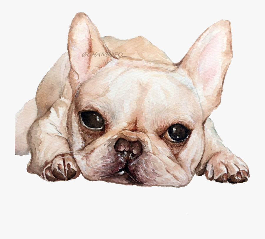 Transparent French Bulldog Clipart - Transparent Background Cute Dog Png, Transparent Clipart