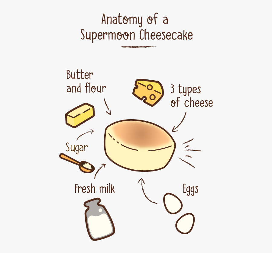 Cheesecake Anatomy, Transparent Clipart