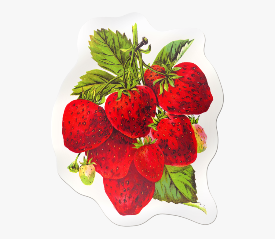 Image Library Library Sticker X Kb Meyveler - Strawberry Blonde Ass, Transparent Clipart
