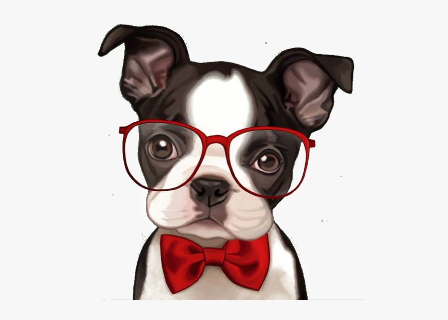 Bulldog Boston Pug French Bichon Frise Terrier Clipart - De Cachorros Em Desenho, Transparent Clipart