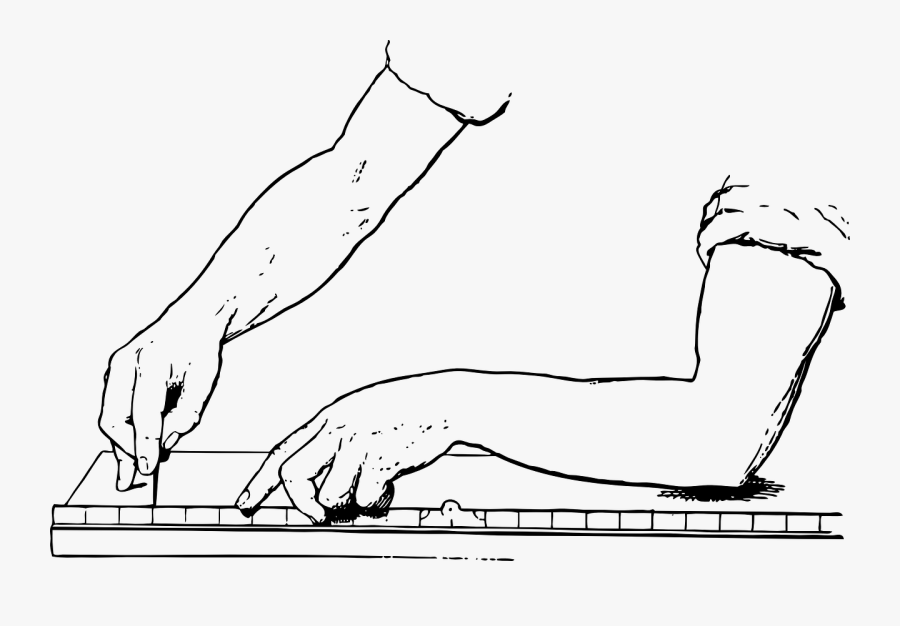 Art,carnivoran,figure Drawing - Wood Measuring Clipart, Transparent Clipart