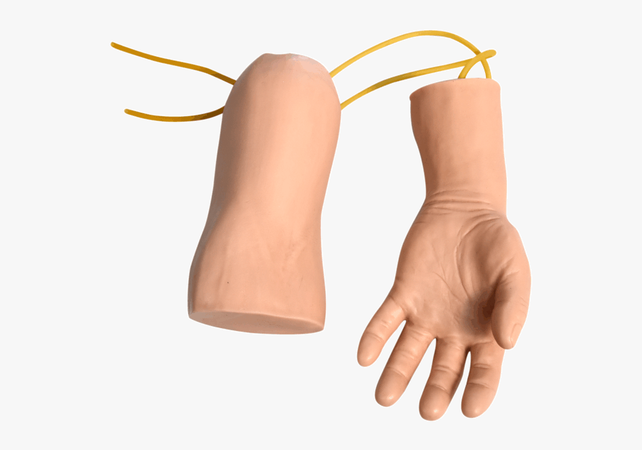 Hand And Elbow Combined Intravenous Transfusion Training, Transparent Clipart