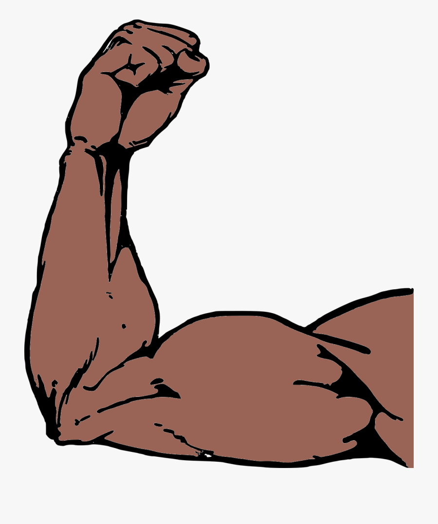 Types Of Sessions - Muscle Arm Clip Art, Transparent Clipart