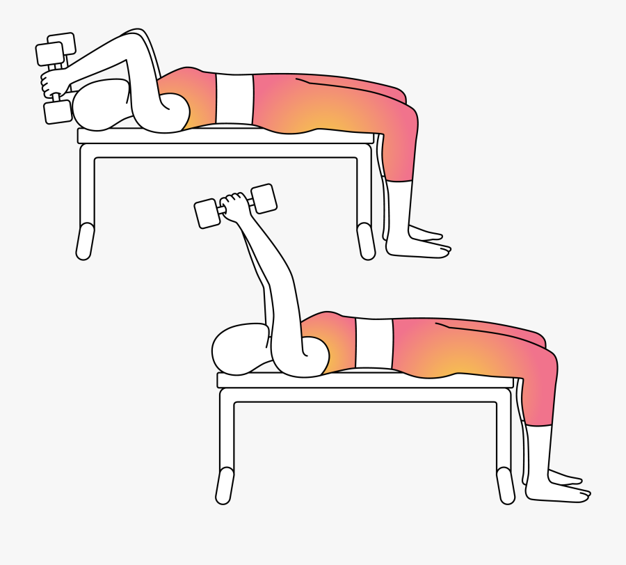 Physera Skull Crusher Setup - Press Up, Transparent Clipart