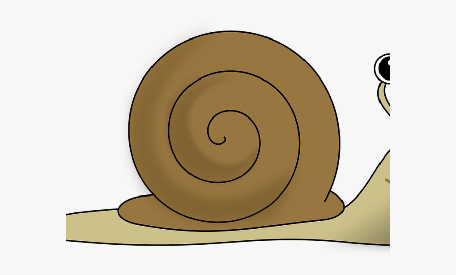 Snail Animated Png, Transparent Clipart