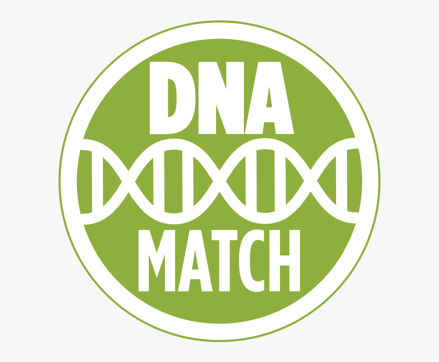 Ancestry Dna Match Icon, Transparent Clipart