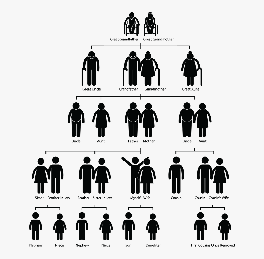 Ancestors Cliparts - Stick Figure Family Tree, Transparent Clipart