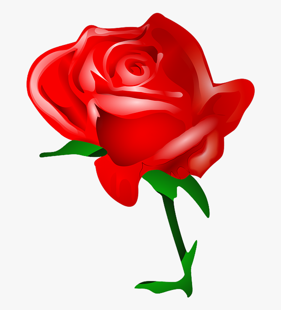 Graphic Free Stock Collection Of Single Buy Any Image - Valentines Day Roses Clipart, Transparent Clipart