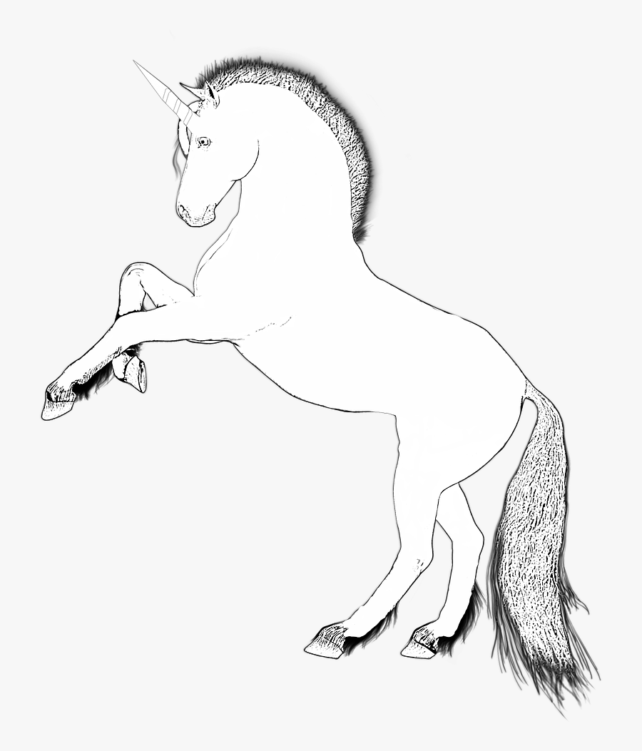 Unicorn Design Horse Fairytale Png Image - Unicorn White Png, Transparent Clipart