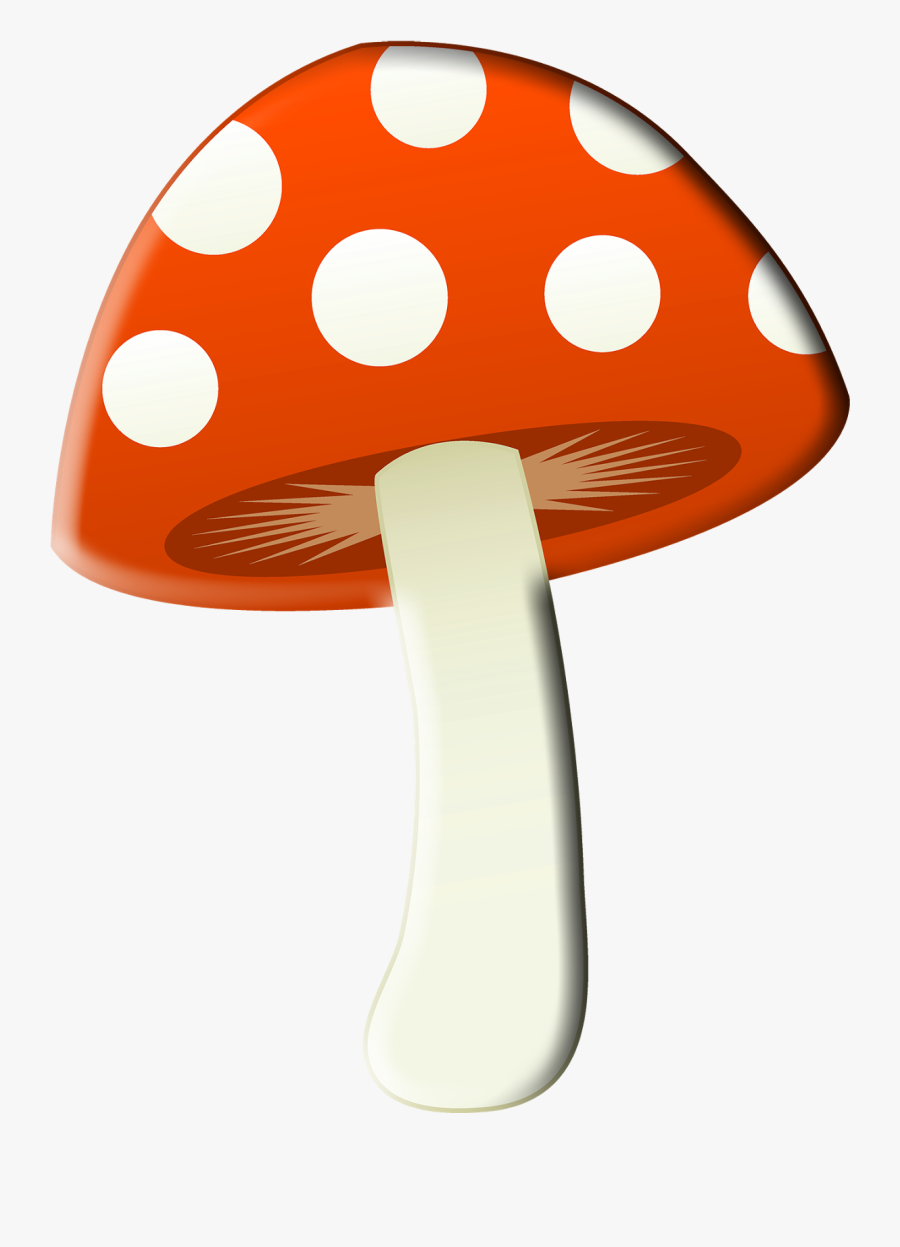 Transparent Free Fairytale Clipart - Alice In Wonderland Toadstool, Transparent Clipart