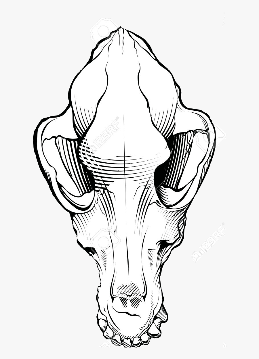 Dog Skull Black And White Free Dog Skull Clipart Black - Wolf Skull Clipart, Transparent Clipart